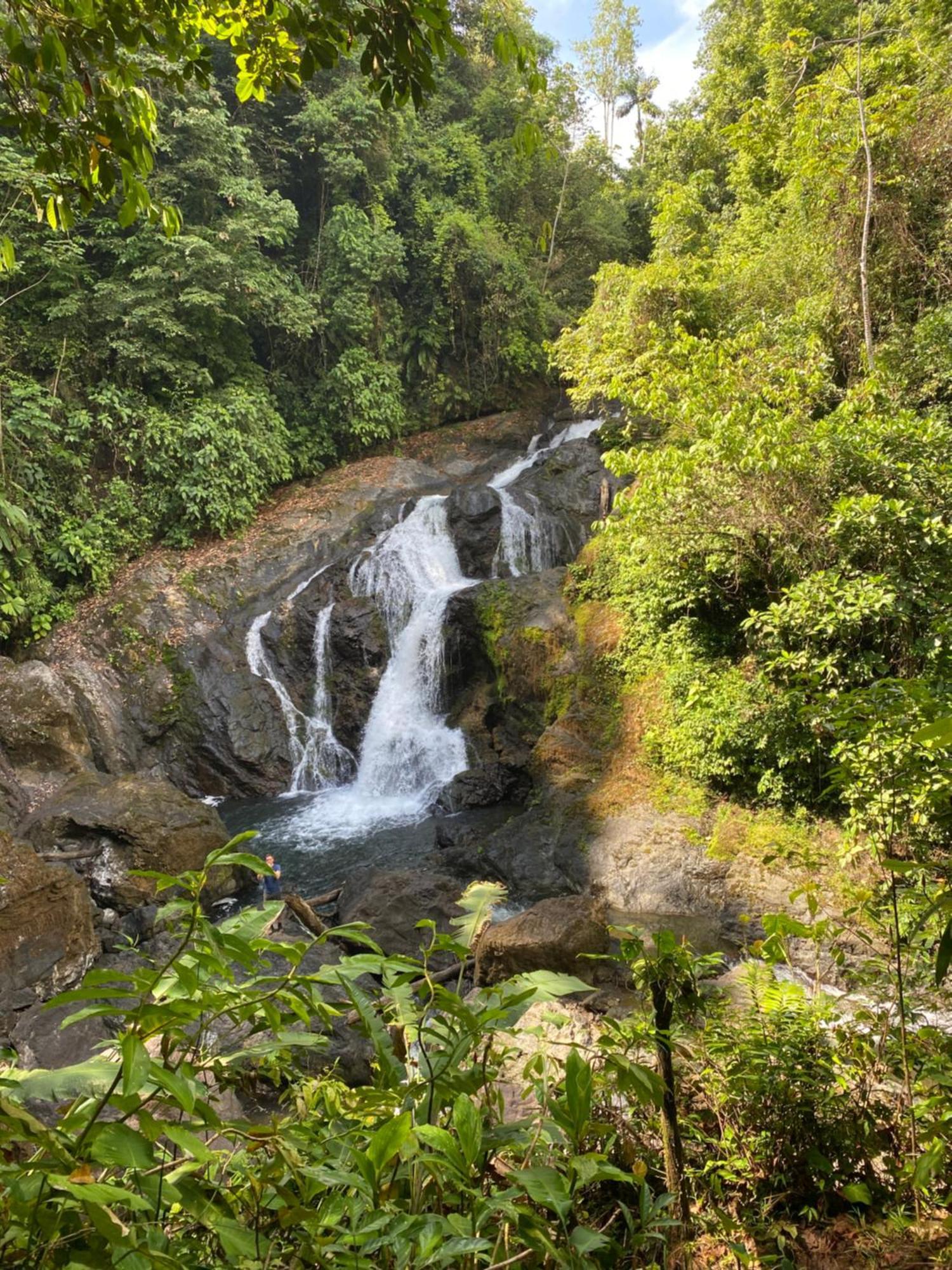 Вилла Casita Corcovado Драке Экстерьер фото